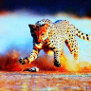 Meet your Posher, Akaash